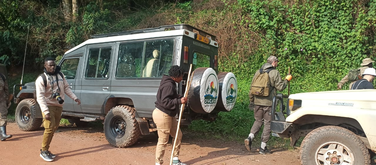 3-Day Gorilla Tracking Safari
