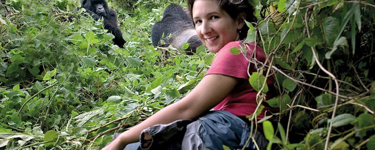 Africa Gorilla Tours