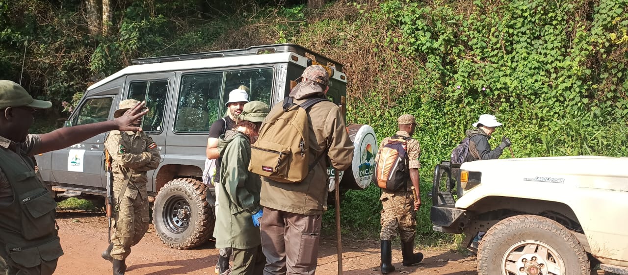 Gorilla Trekking in Africa