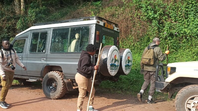 4 Day Rwanda Gorilla Trek Safari