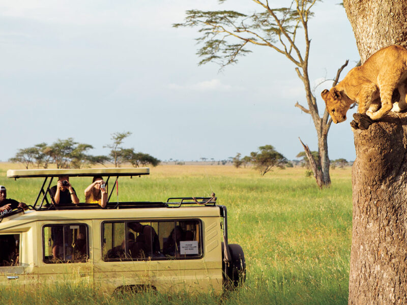 6 Days Wilderness Tour 6 Days Africa Adventures Tour