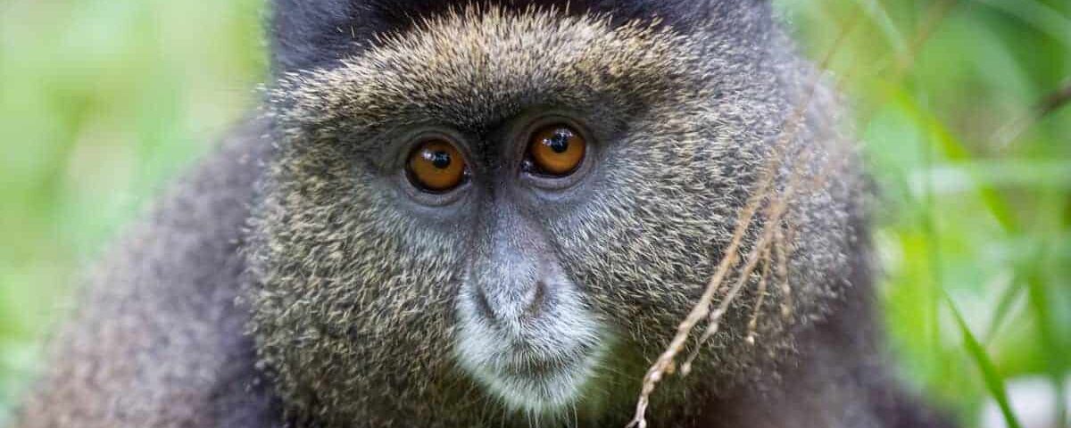 Africa Adventure Tours