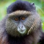 Africa Adventure Tours