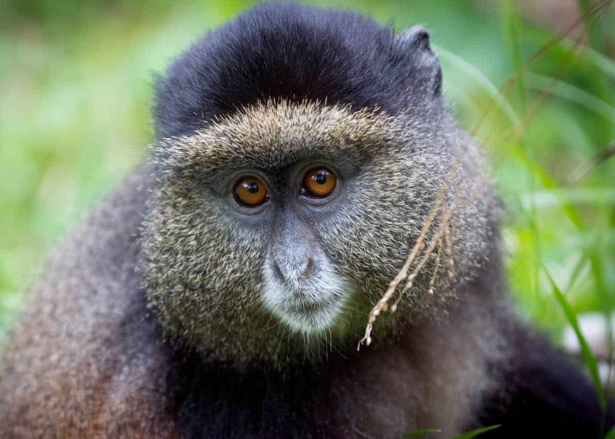 Africa Adventure Tours