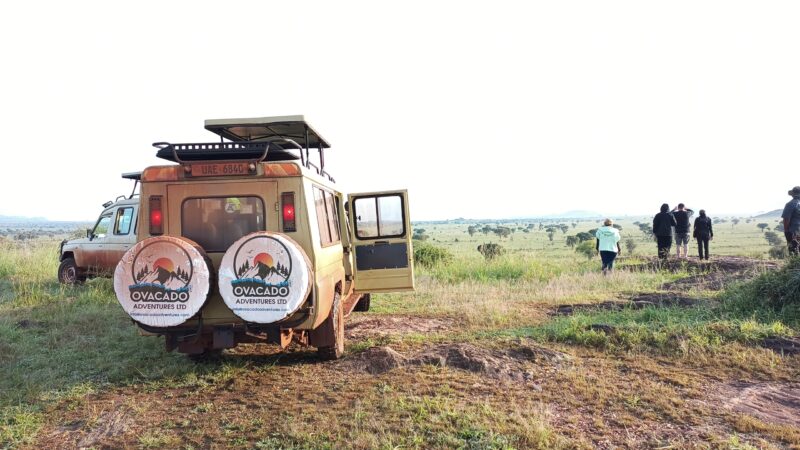 2 Days Rwanda Wildlife Safari