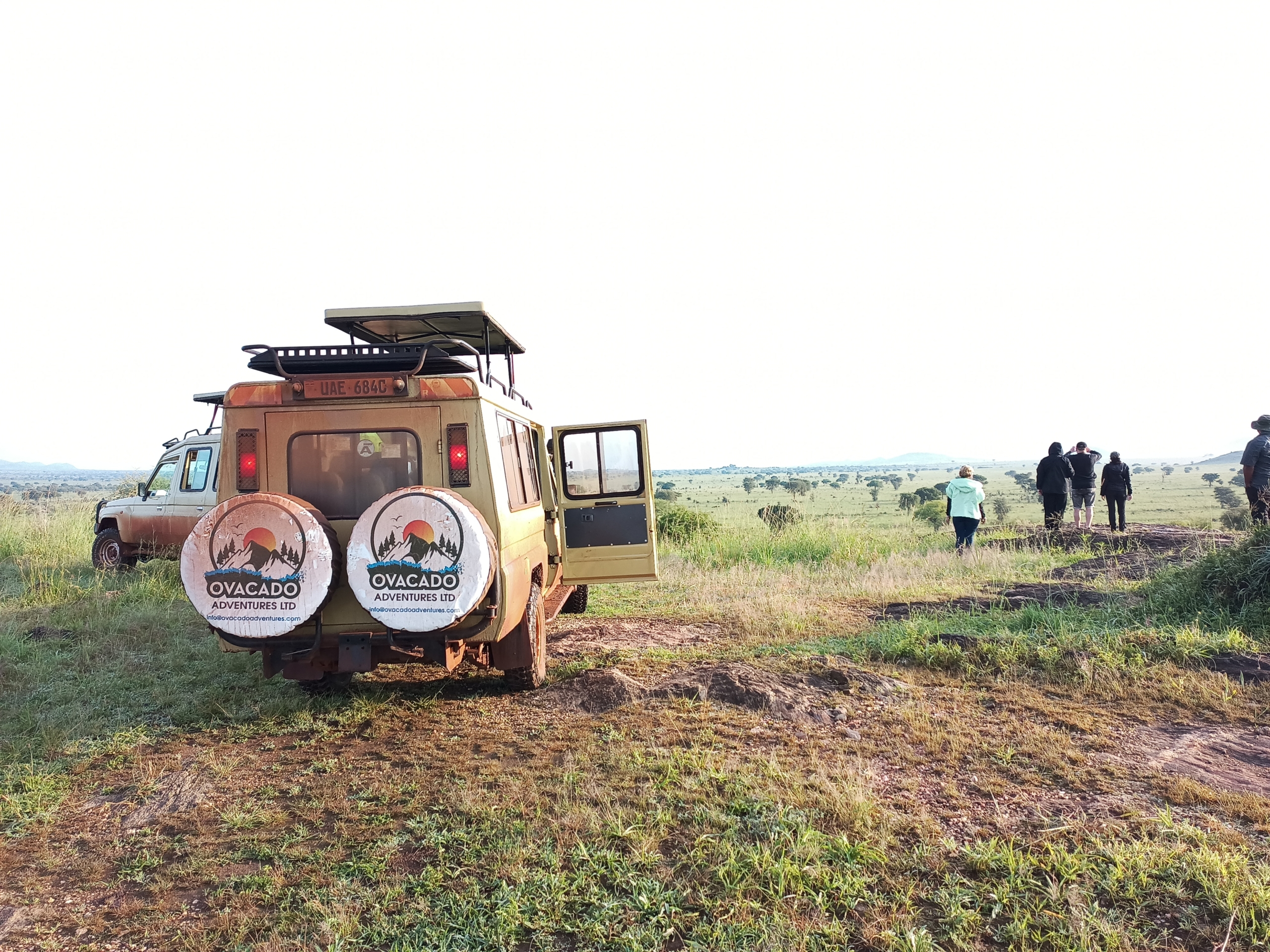 2 Days Rwanda Wildlife Safari