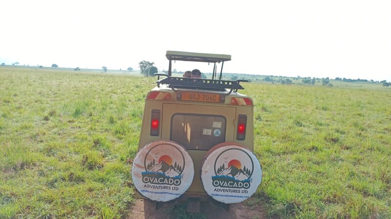 Africa Adventure Tours