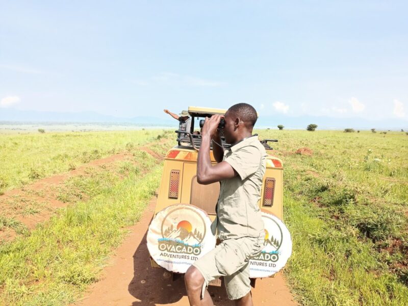 4 Days Queen Elizabeth Safari 4 Days Queen Elizabeth Safari