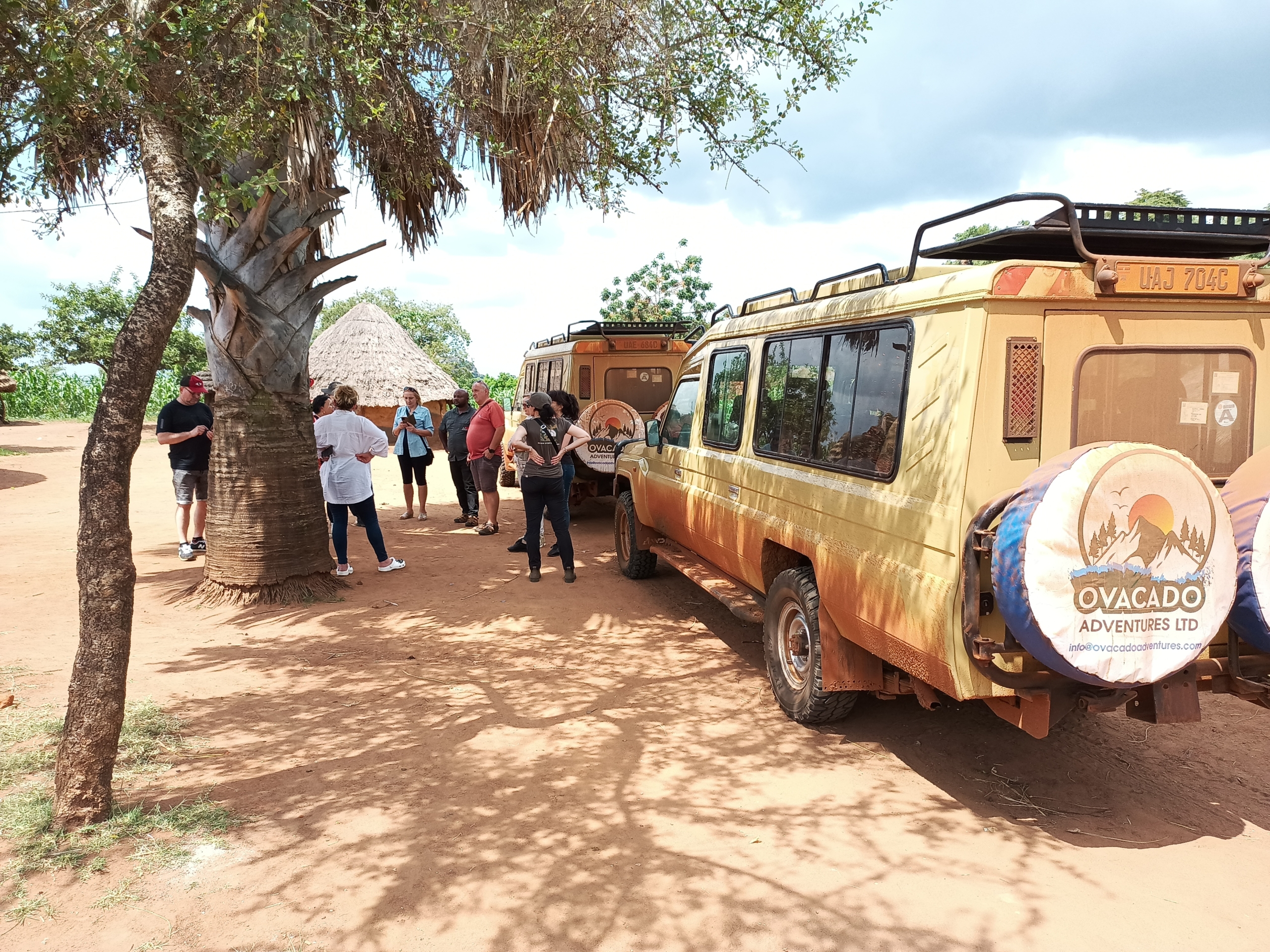 Africa Tours