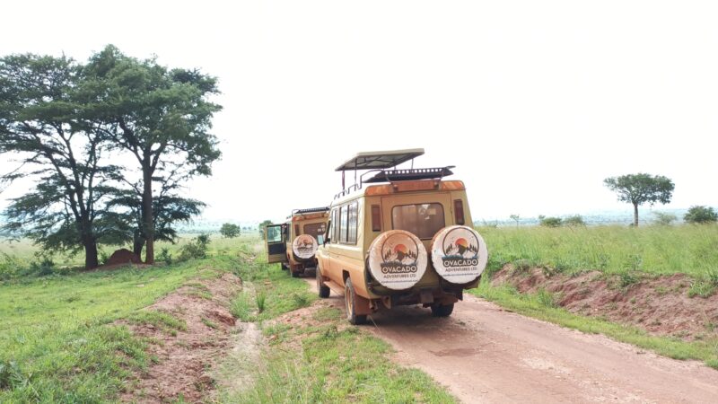 Uganda Burundi Rwanda Safari