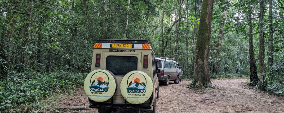 18 Days Best of East Africa Safari