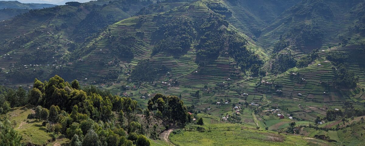 How Long Does Gorilla Trekking Take?