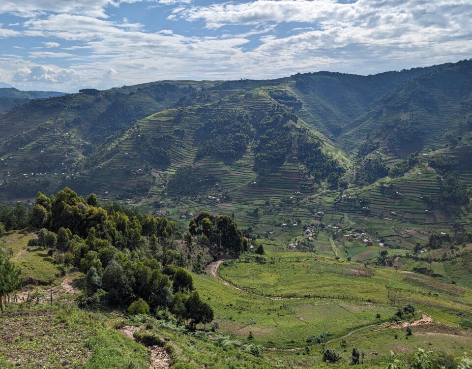 How Long Does Gorilla Trekking Take?