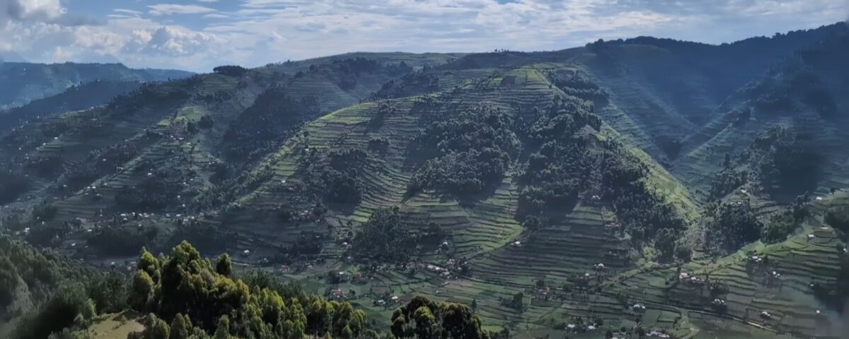 What to Expect When You Visit Gorillas in Rwanda?