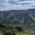 What to Expect When You Visit Gorillas in Rwanda?