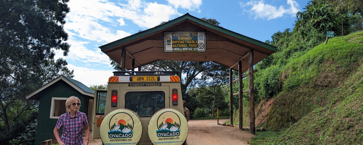 7-Day Uganda Apes Safari