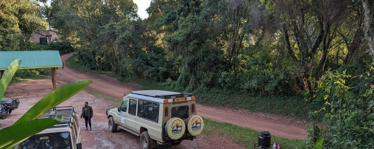 15-Day Rwanda Uganda Grand Tour