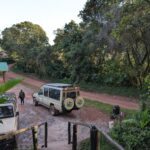 15-Day Rwanda Uganda Grand Tour