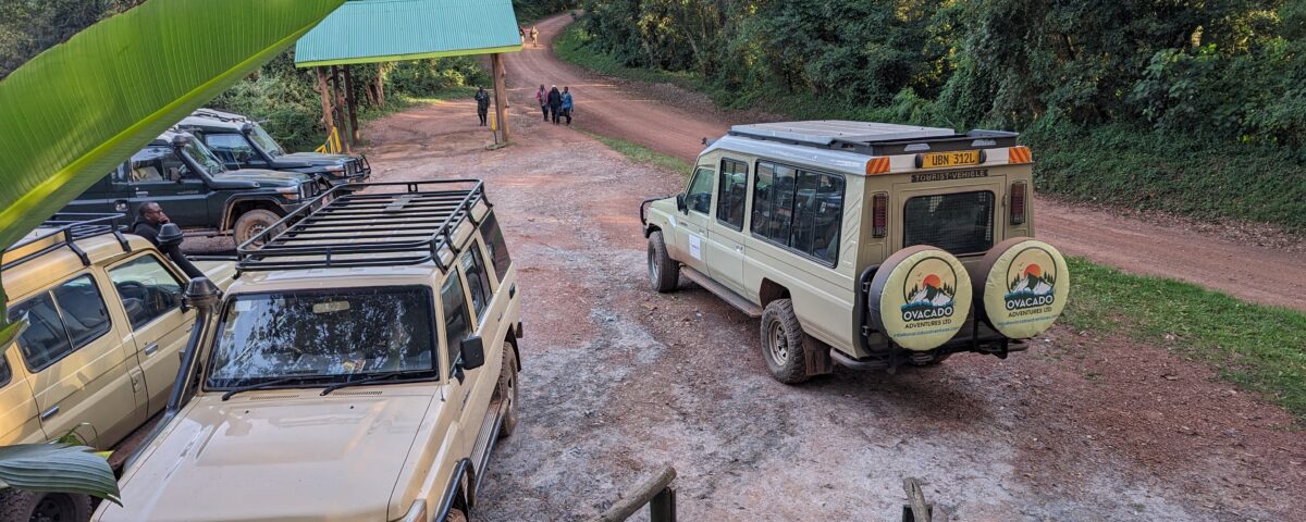 Tanzania Wildlife Safaris