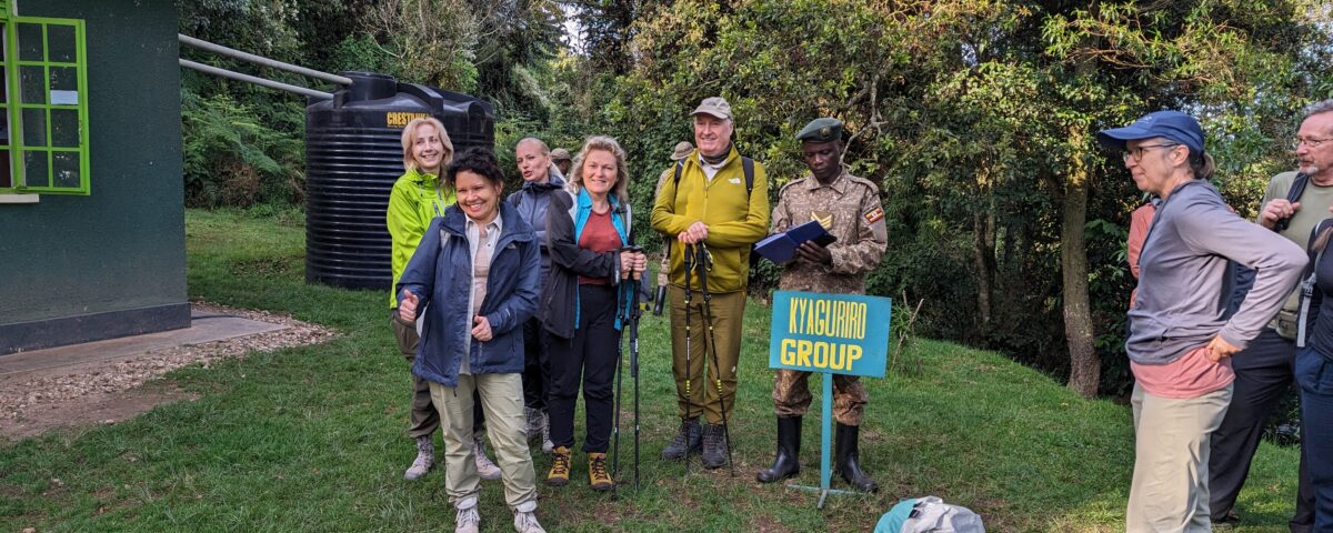 When Is the Best Time to Go Gorilla Trekking in Uganda?