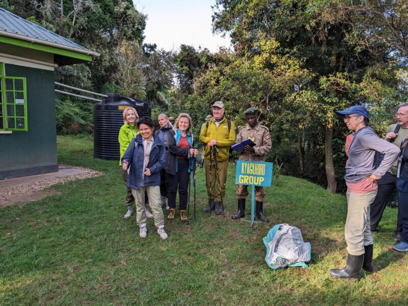 Our Guides When Is the Best Time to Go Gorilla Trekking in Uganda?