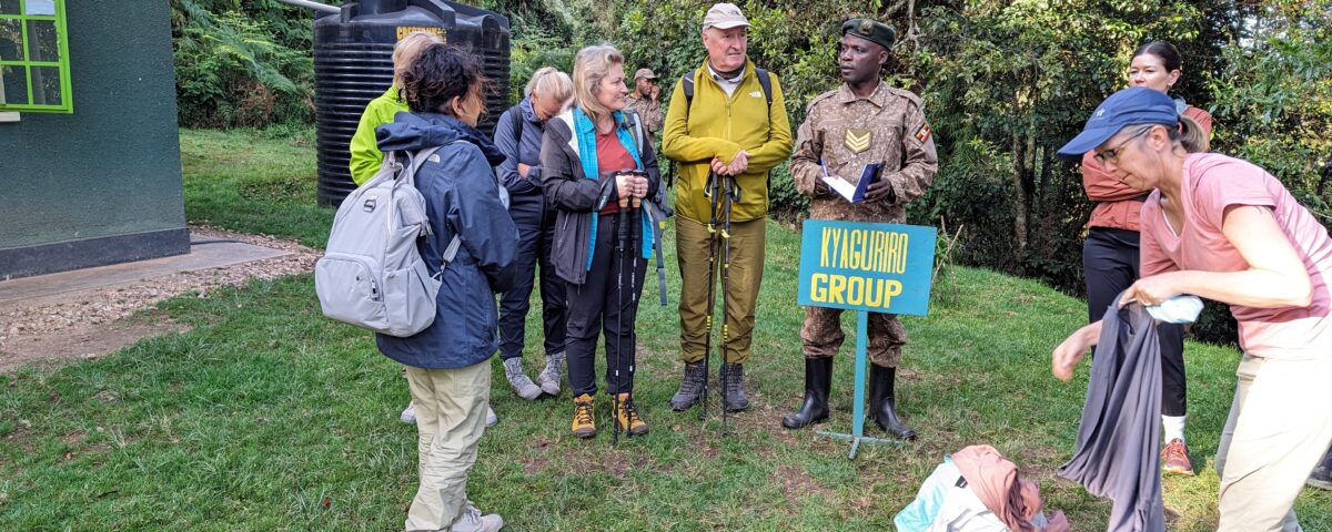 Best Safari Packages