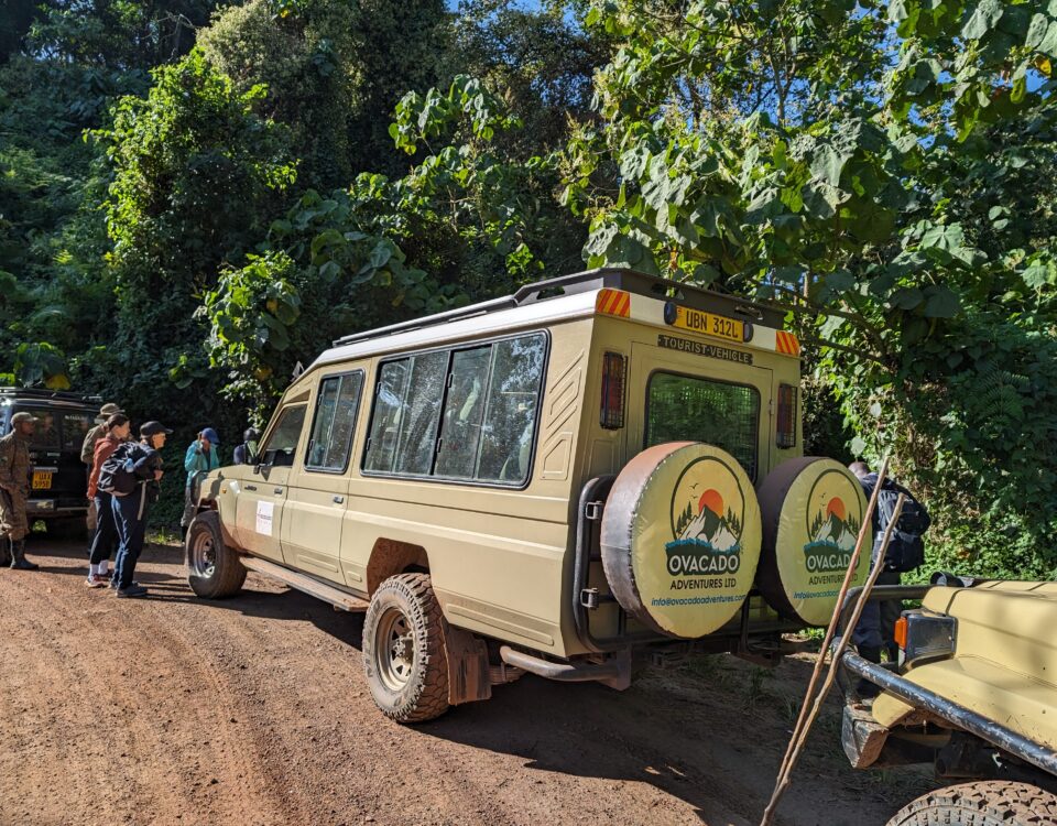 East Africa Safari Vehicles