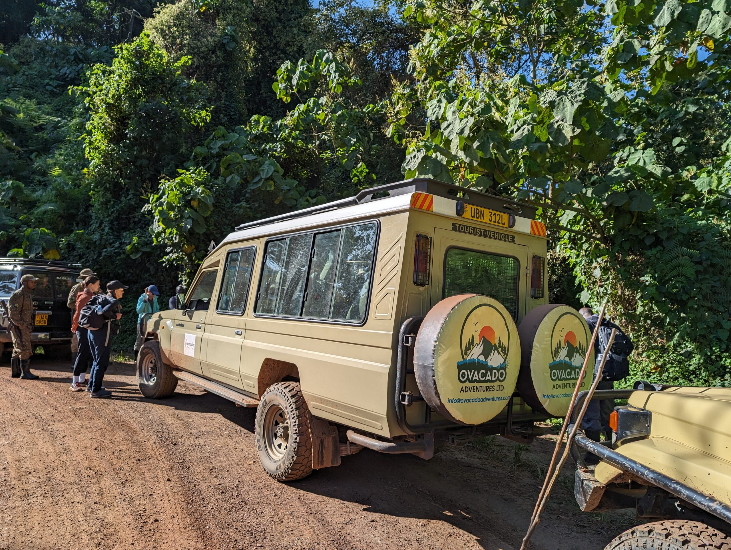 Gorilla Trekking Tour in Uganda