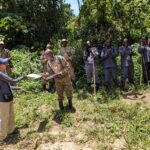 Uganda Chimpanzee Tracking Tours