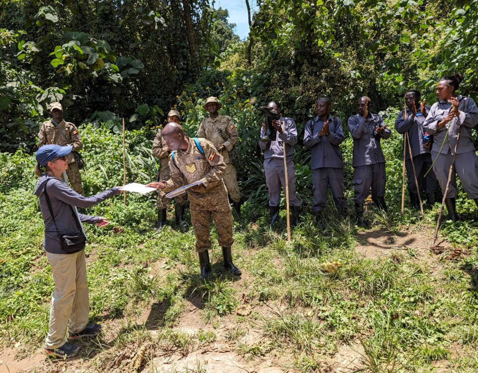 Uganda Chimpanzee Tracking Tours