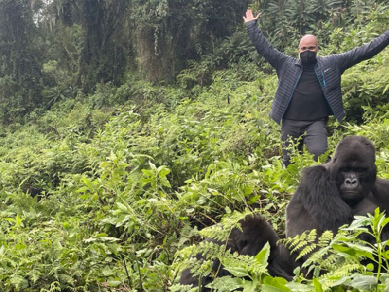 Uganda Gorilla Trekking What is a Gorilla Trekking Permit?
