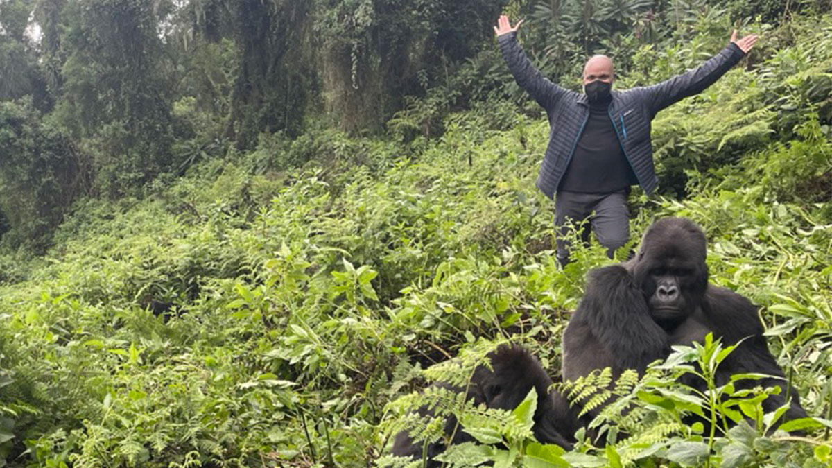 7 Days Discover Rwanda Primates in Luxury