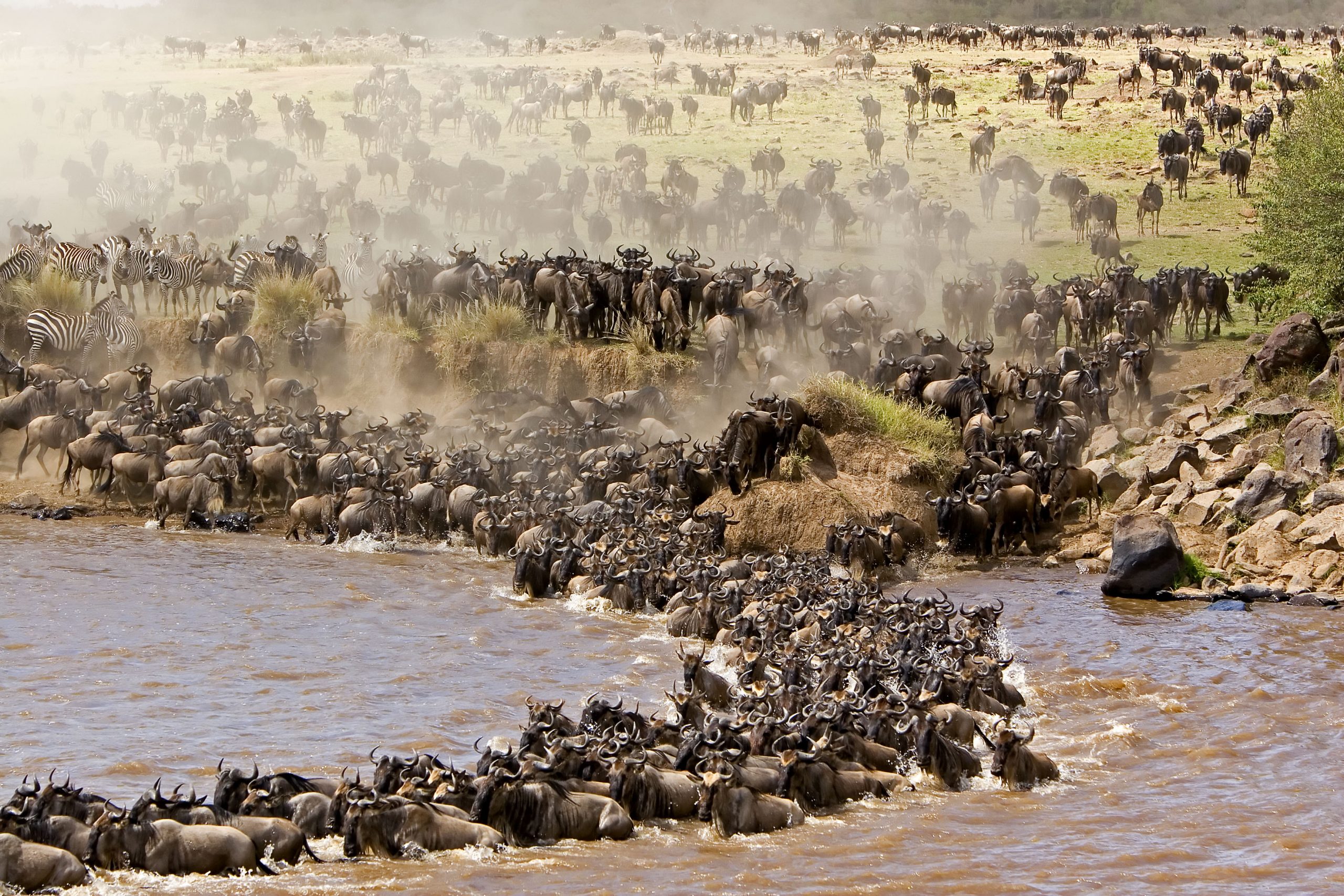 13 Days Kenya Rwanda Safari