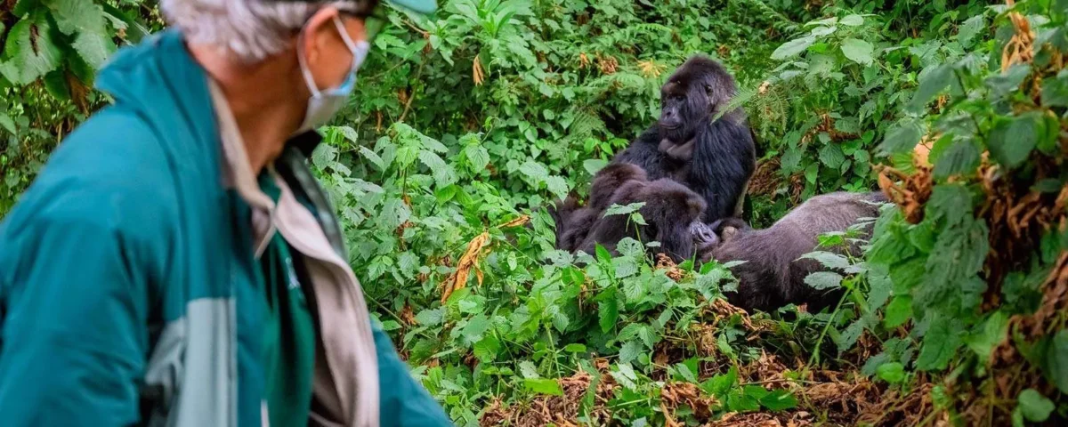 How Do I Book Gorilla Trekking in Rwanda?