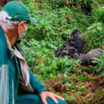 How Do I Book Gorilla Trekking in Rwanda?