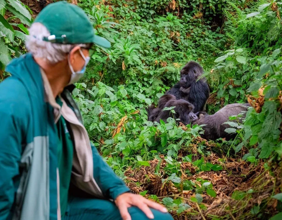 How Do I Book Gorilla Trekking in Rwanda?