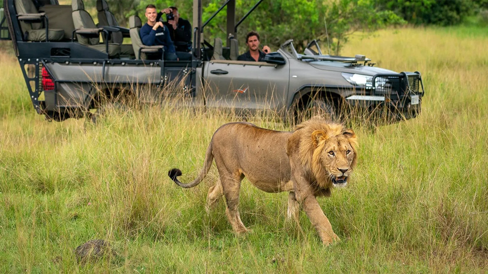 Rwanda Game Drives