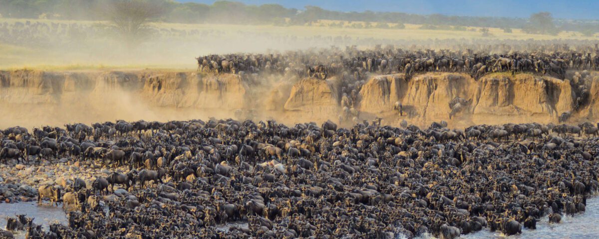 great migration
