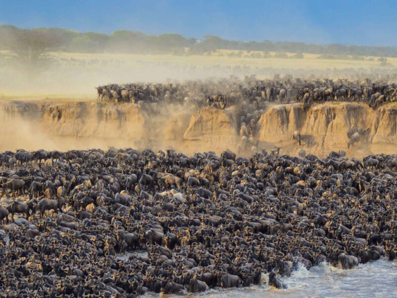 great migration