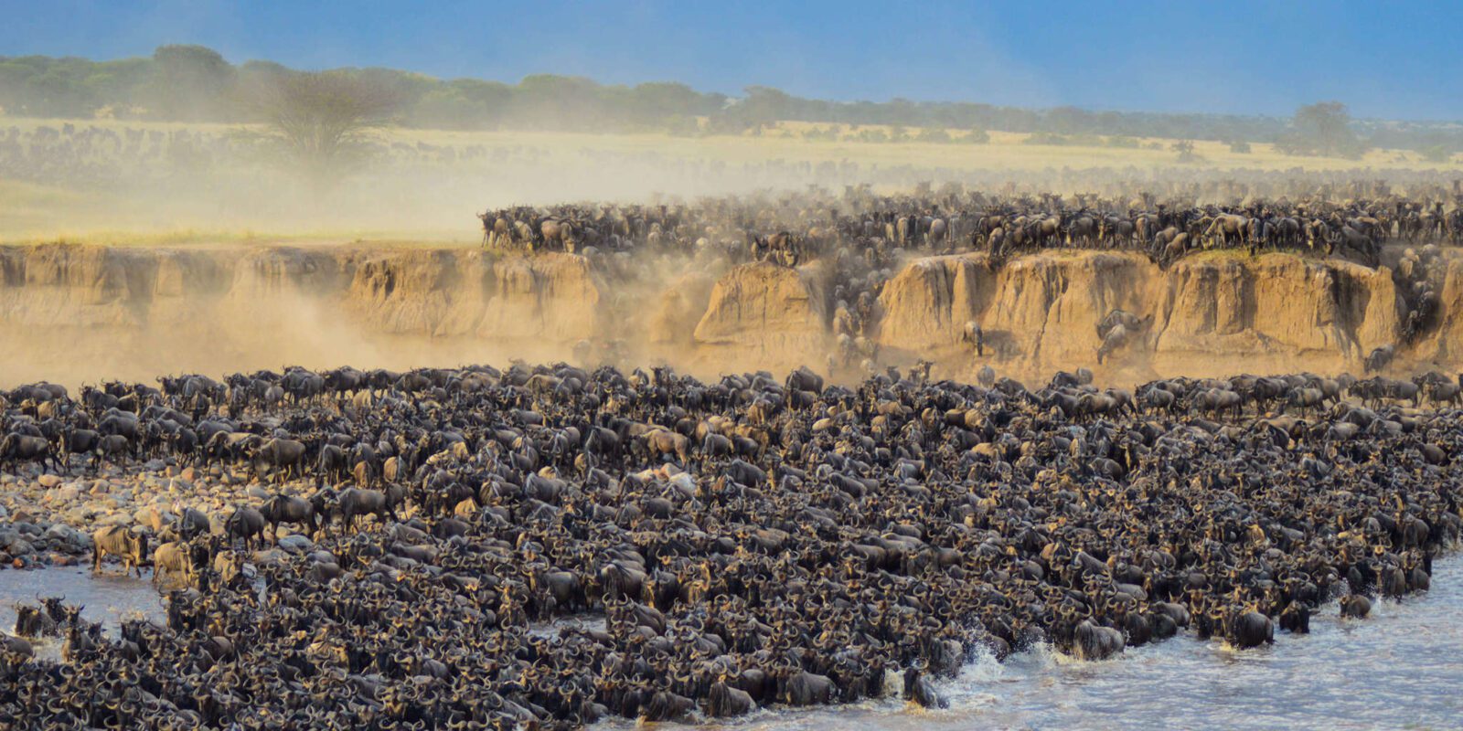 great migration